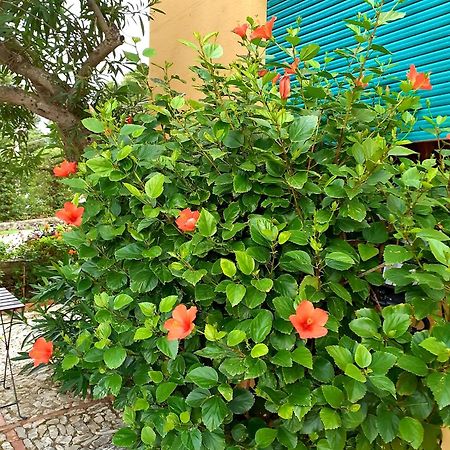 Casa "Le Terrazze" Villa Erice Ngoại thất bức ảnh
