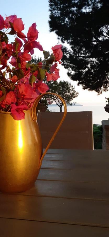 Casa "Le Terrazze" Villa Erice Ngoại thất bức ảnh