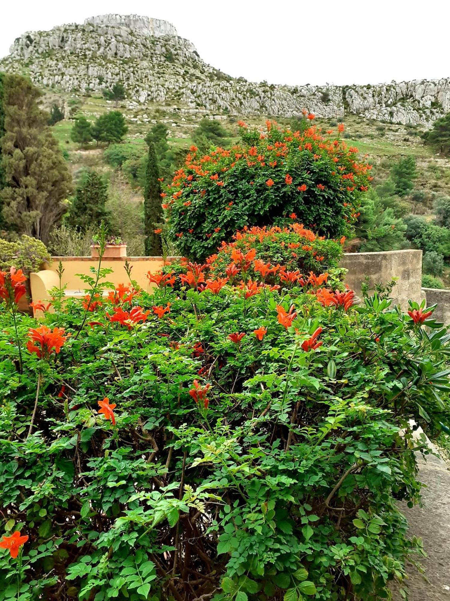 Casa "Le Terrazze" Villa Erice Ngoại thất bức ảnh