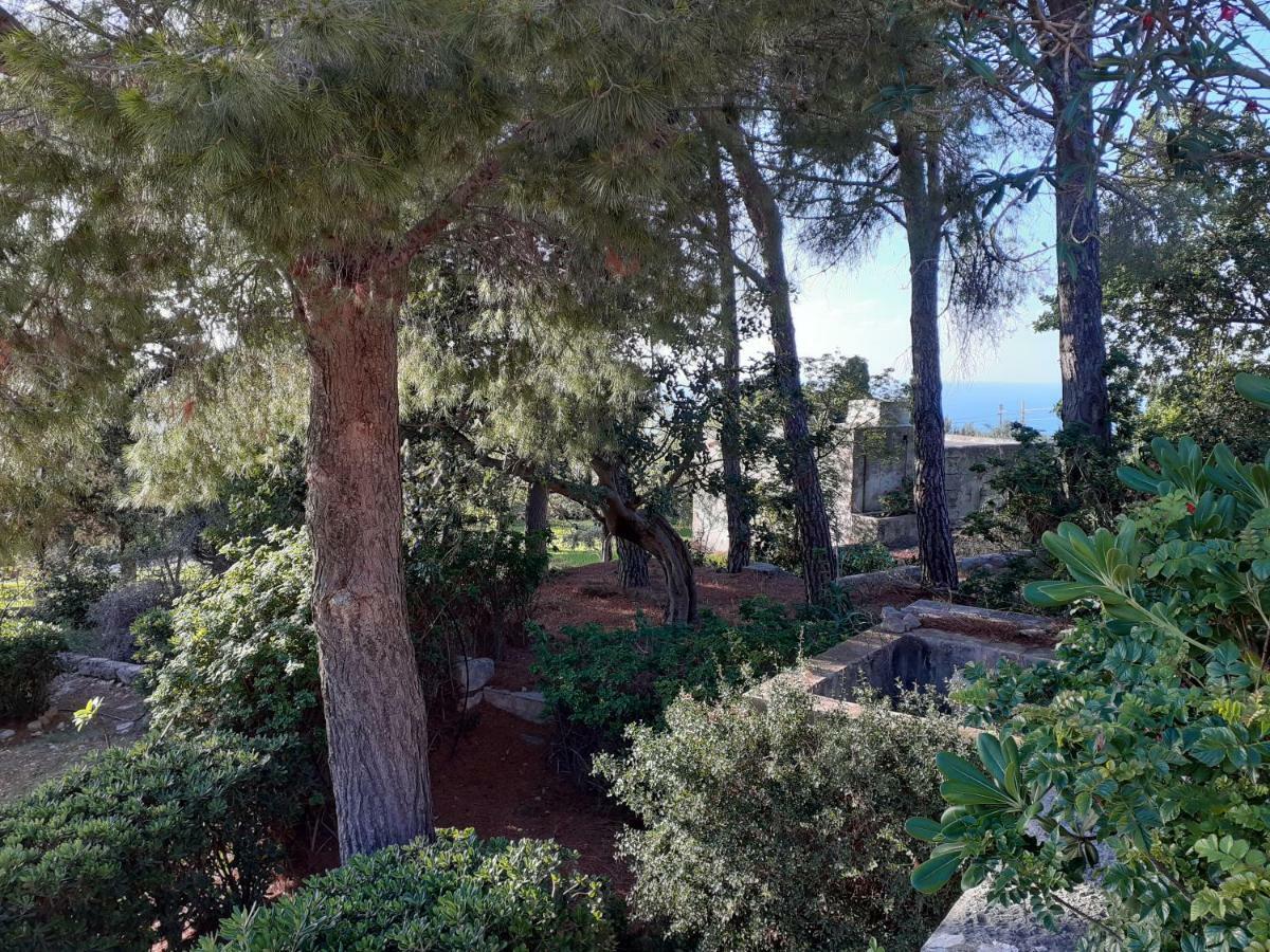 Casa "Le Terrazze" Villa Erice Ngoại thất bức ảnh